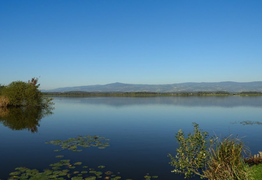 Sestrsko-jezero