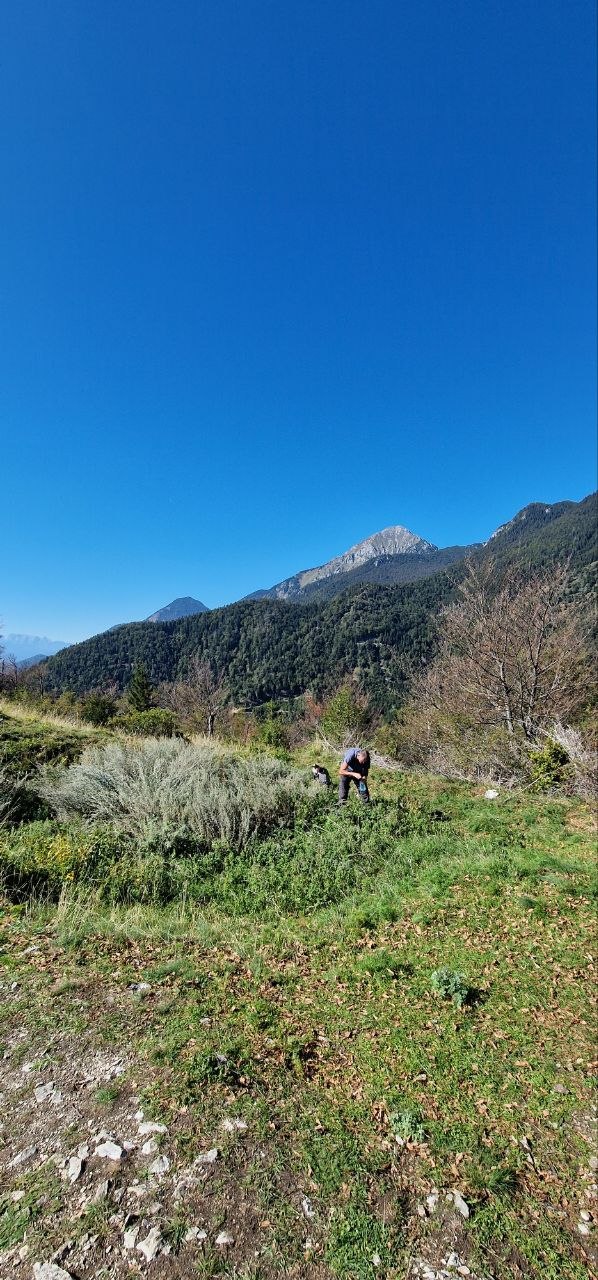Razgled proti Storžiču s poti na Sveti Jakob nad Preddvorom
