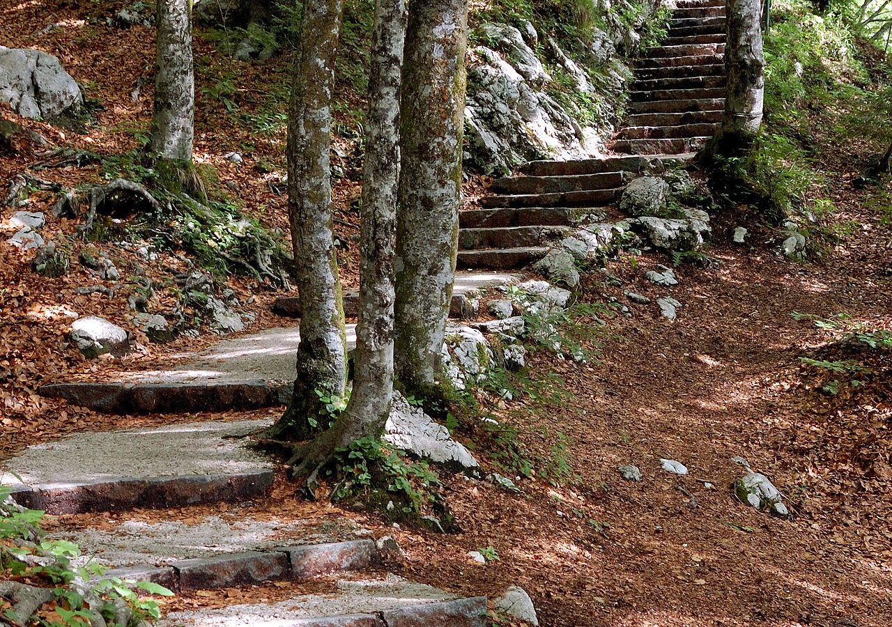 Stopnice in pot na Vodnikov razglednik nad Bohinjem