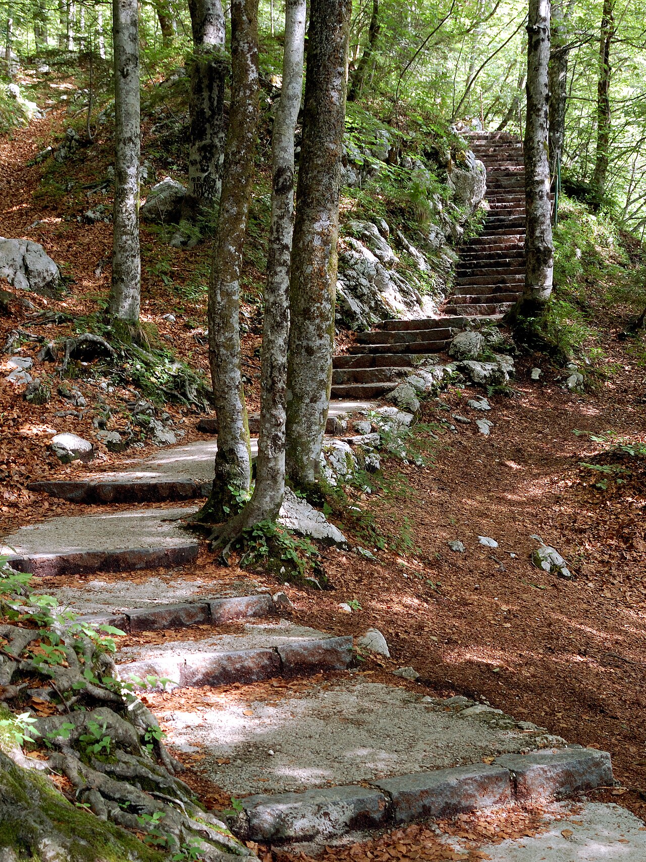 Stopnice in pot na Vodnikov razglednik nad Bohinjem