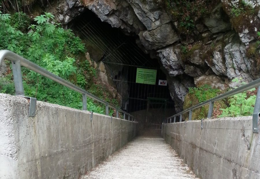 Vhod v Županovo jamo pri Grosuplju