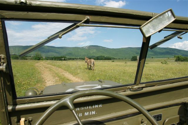 Črnotiče – slika 3
