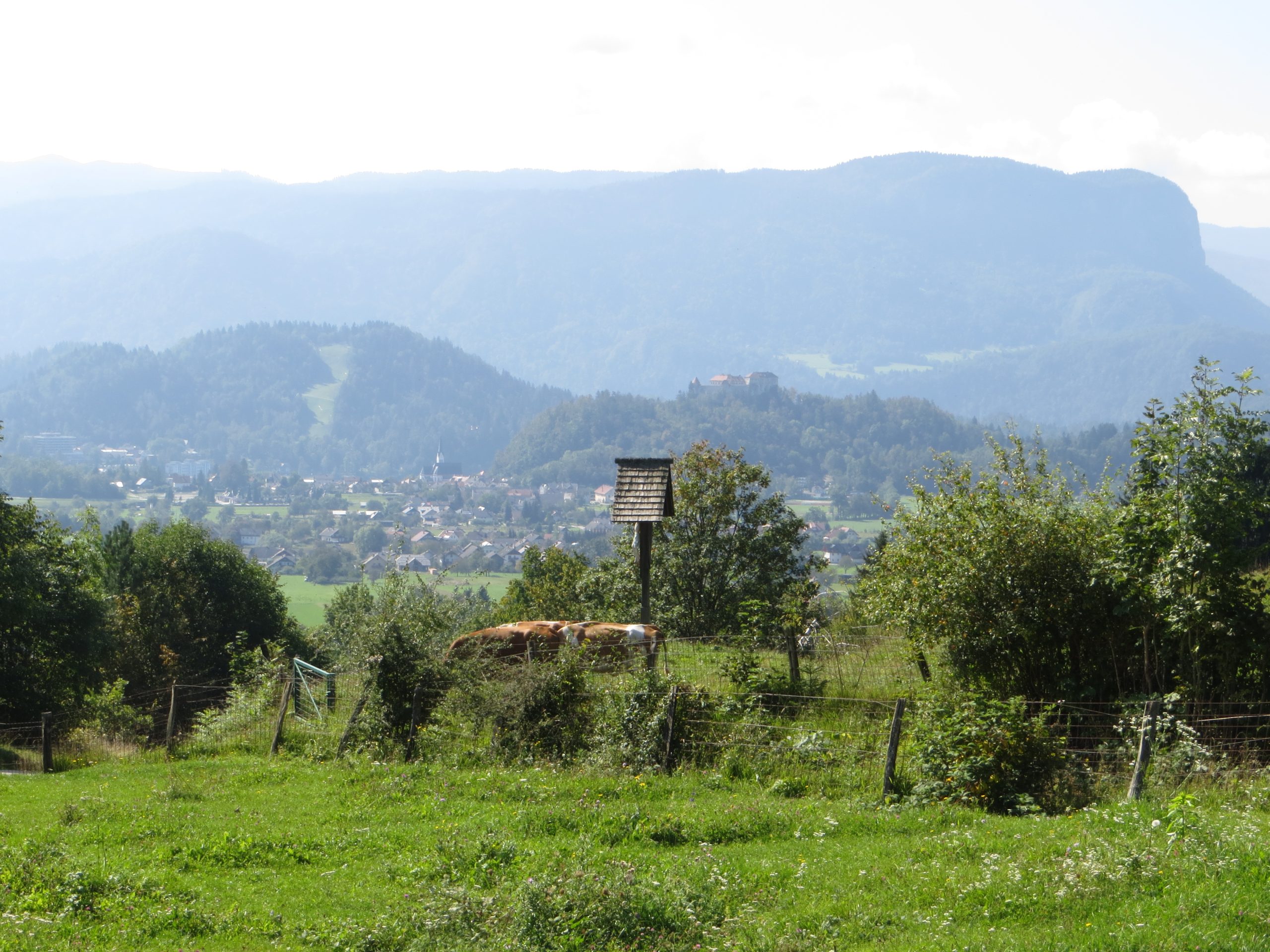 Straža Bled – slika 2