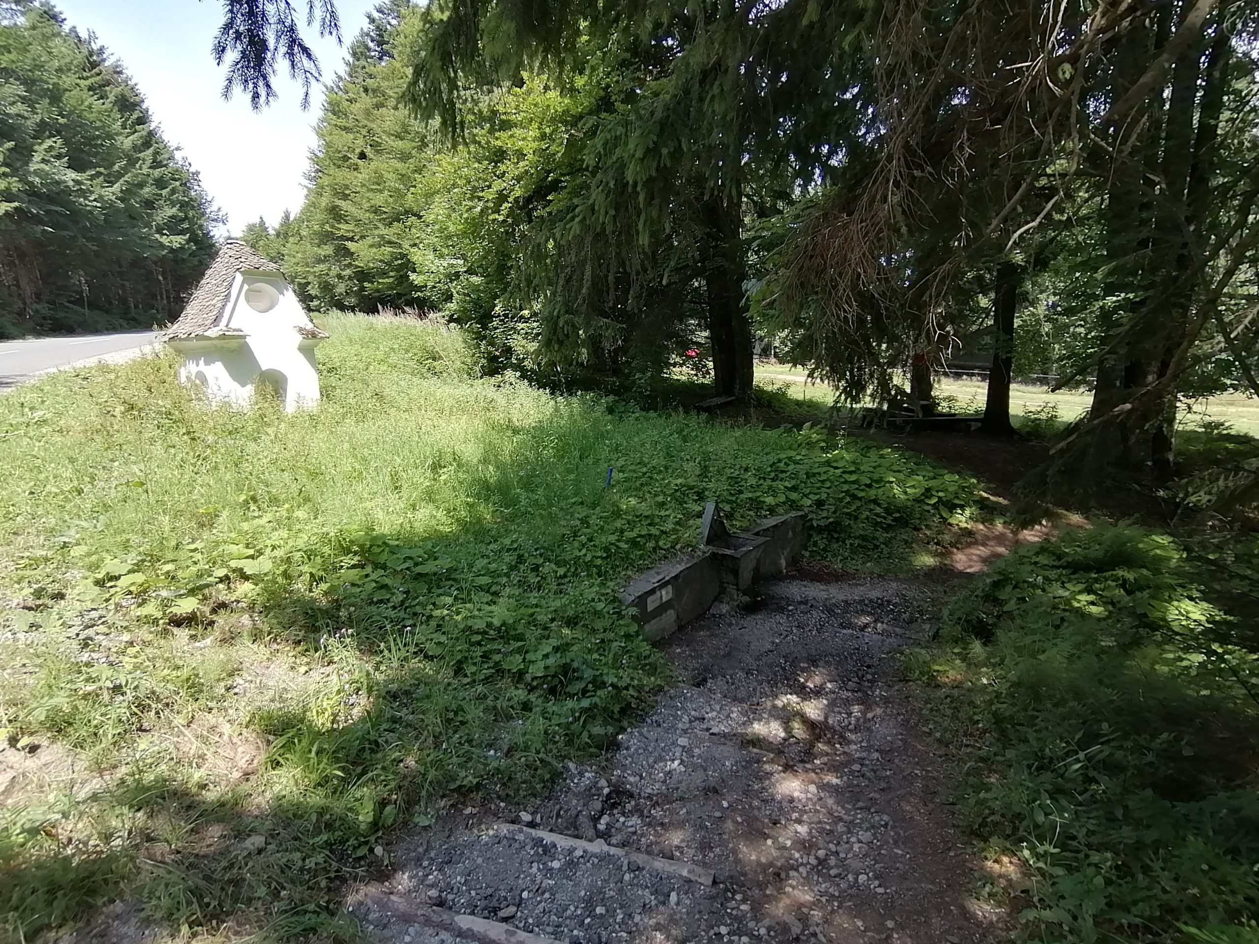 Areh na Pohorju – slika 2