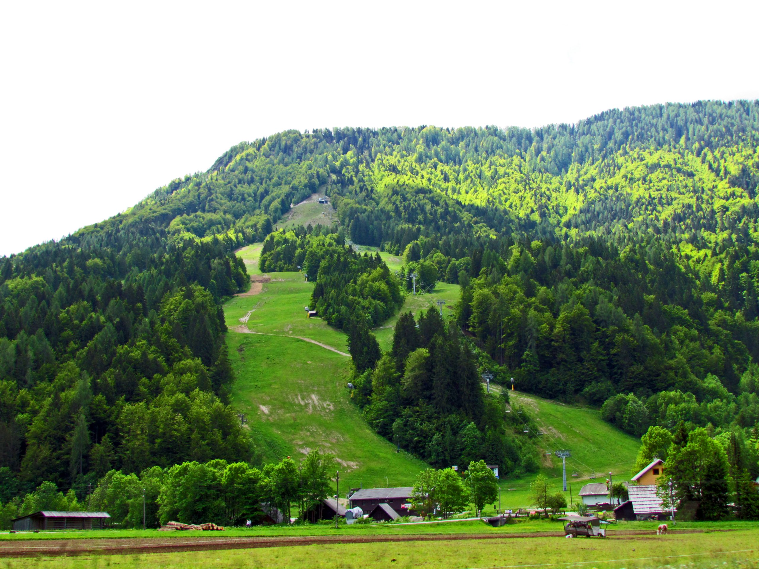 Straža Bled – slika 3