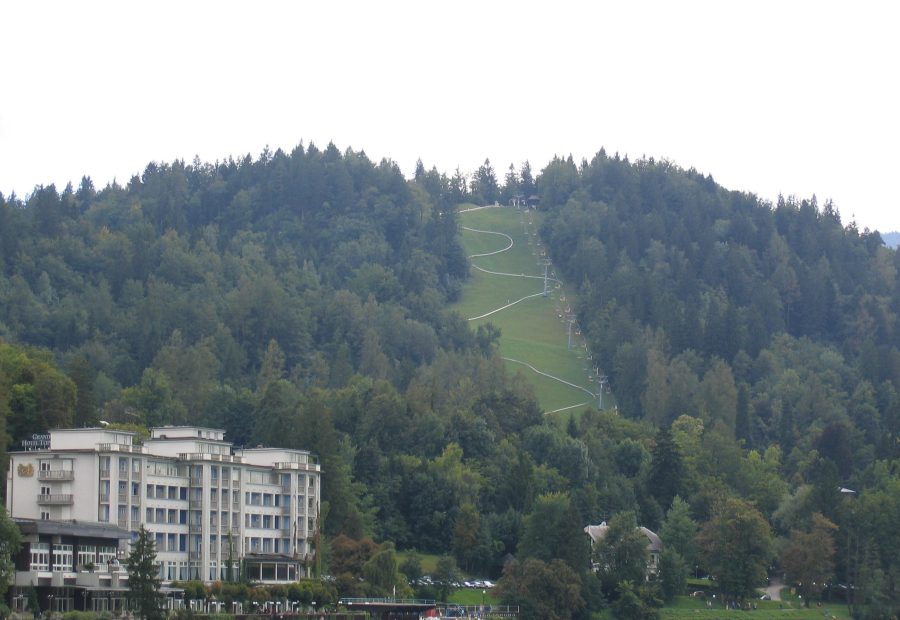 Straža Bled – 1
