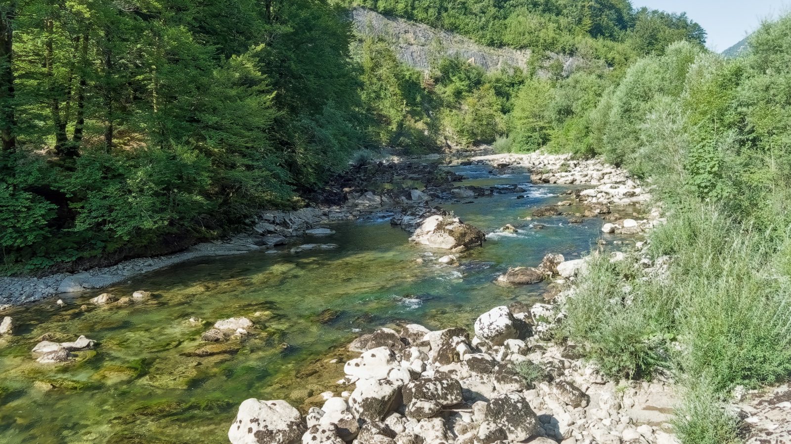 Kolpa pri Osilnici – 1