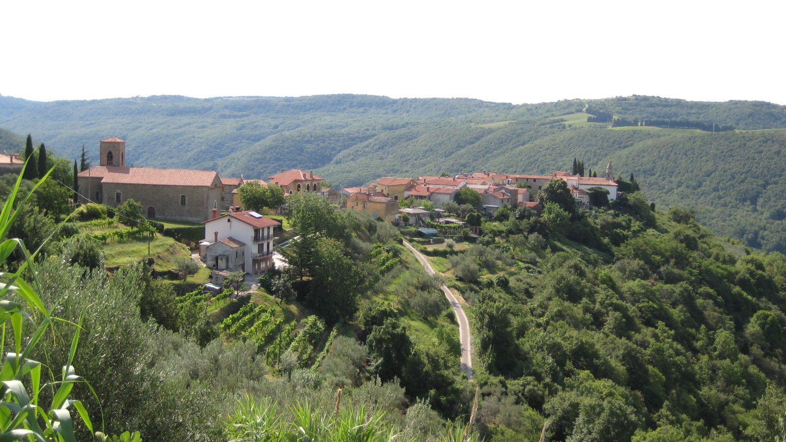 Koštabona – 1