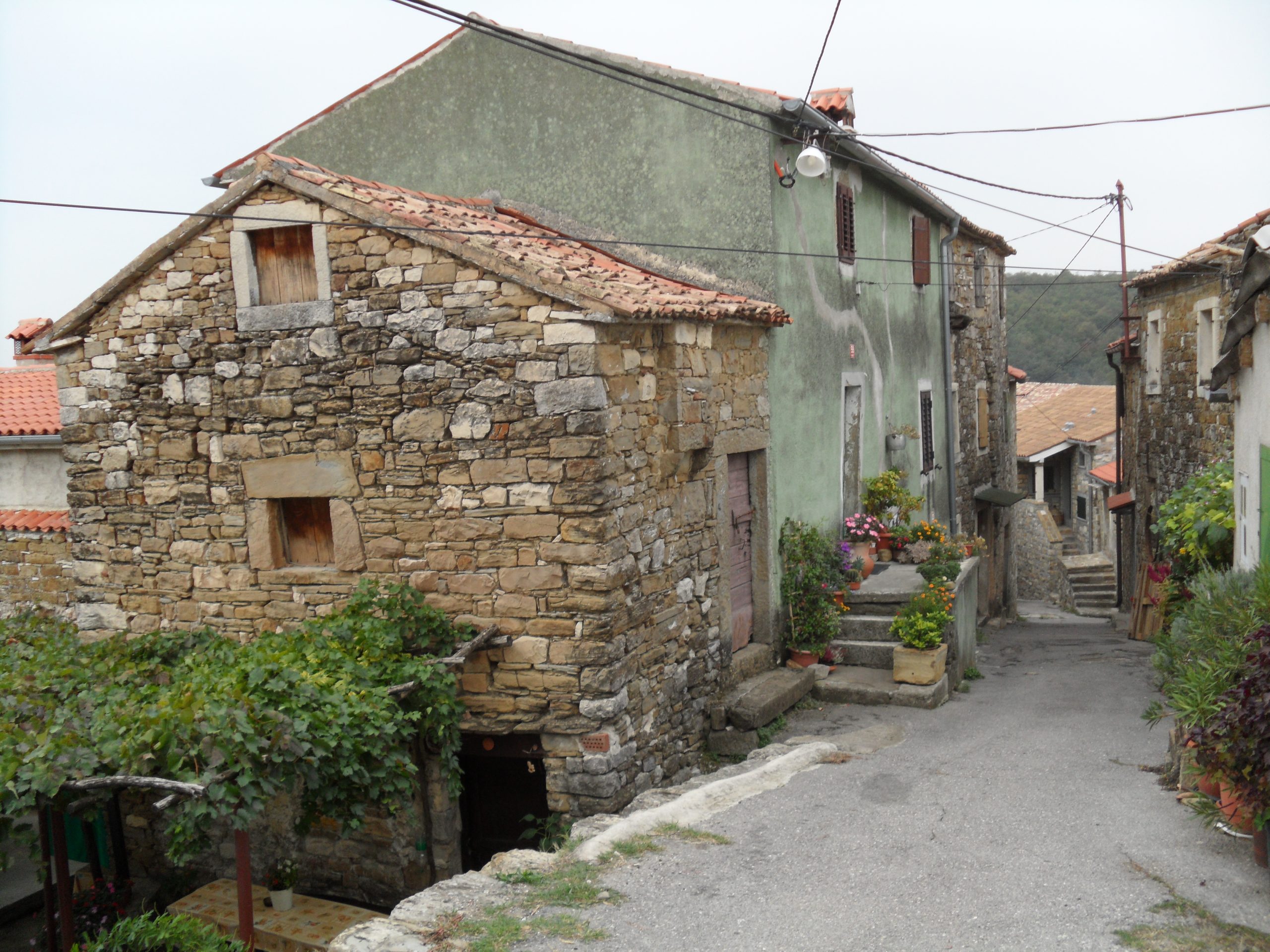 Krkavče – slika 3
