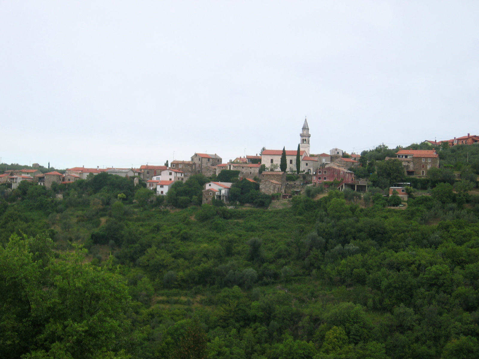 Krkavče – slika 1