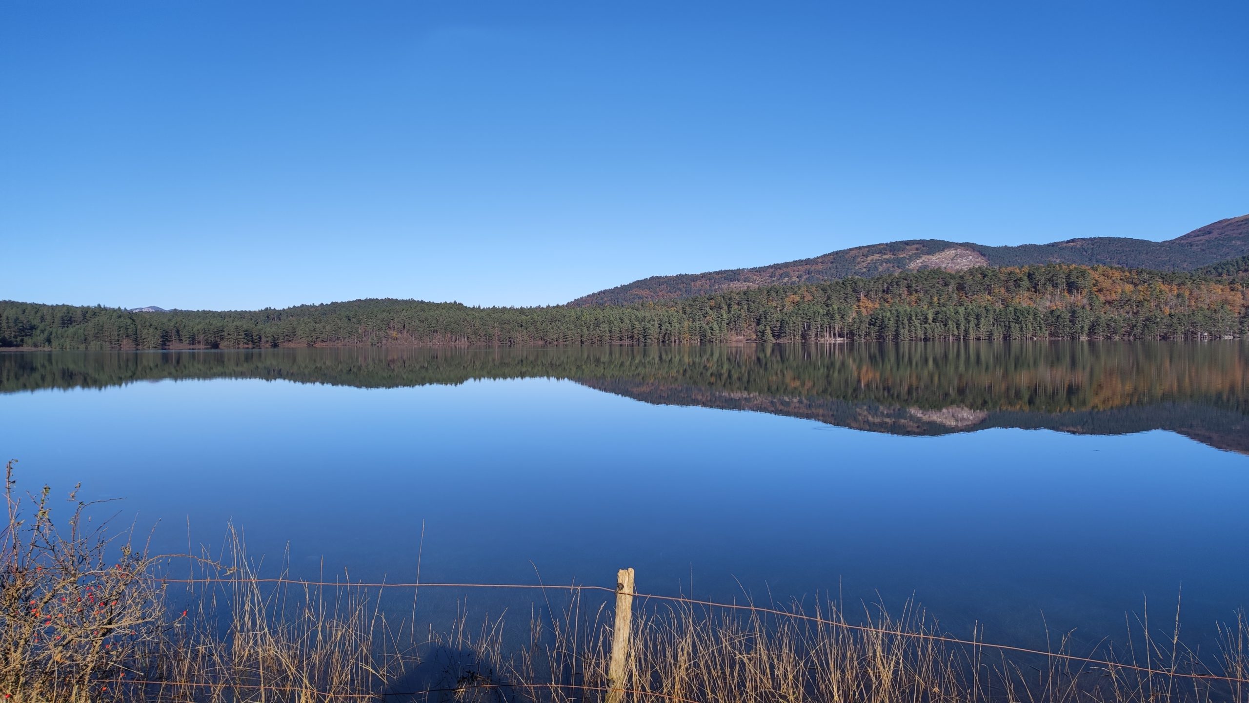 Palško jezero – slika 3