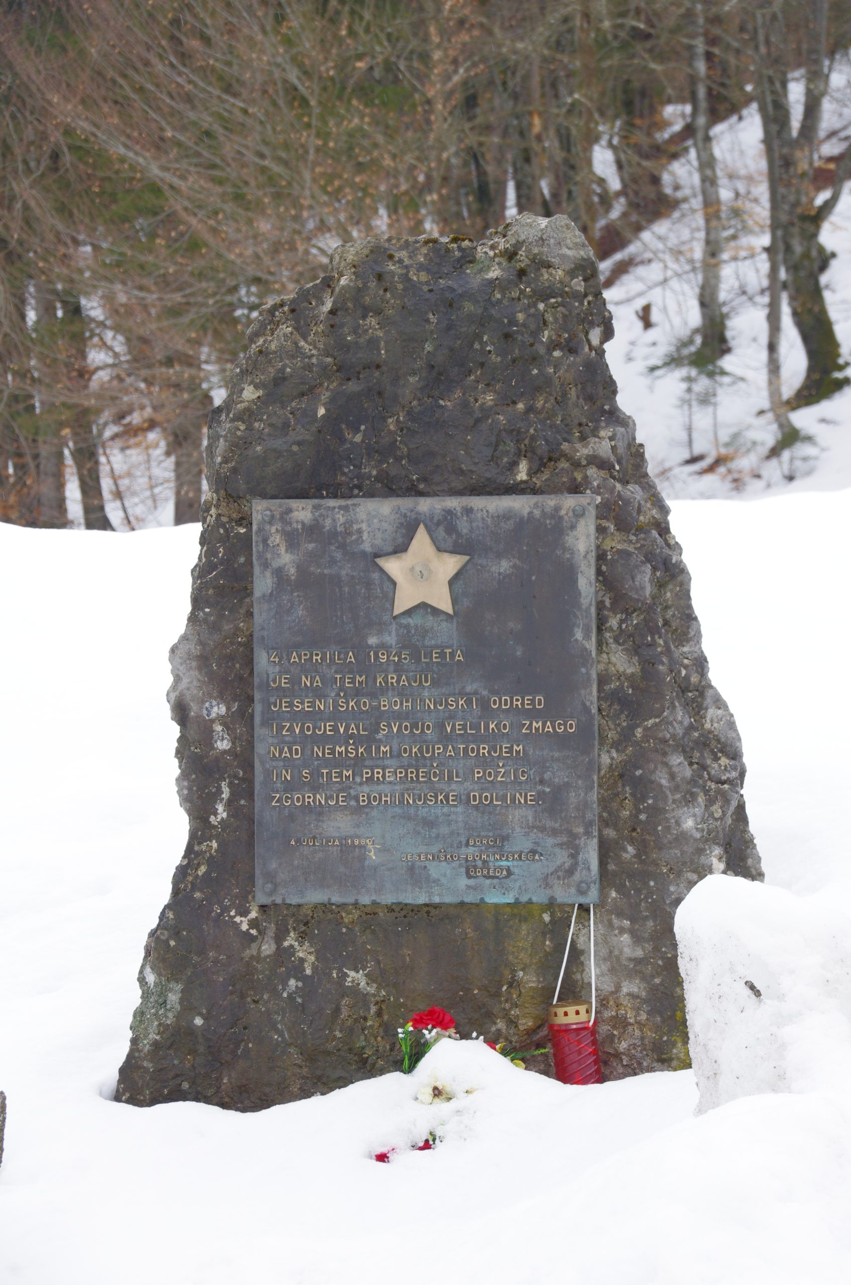 Ribčev Laz – slika 4