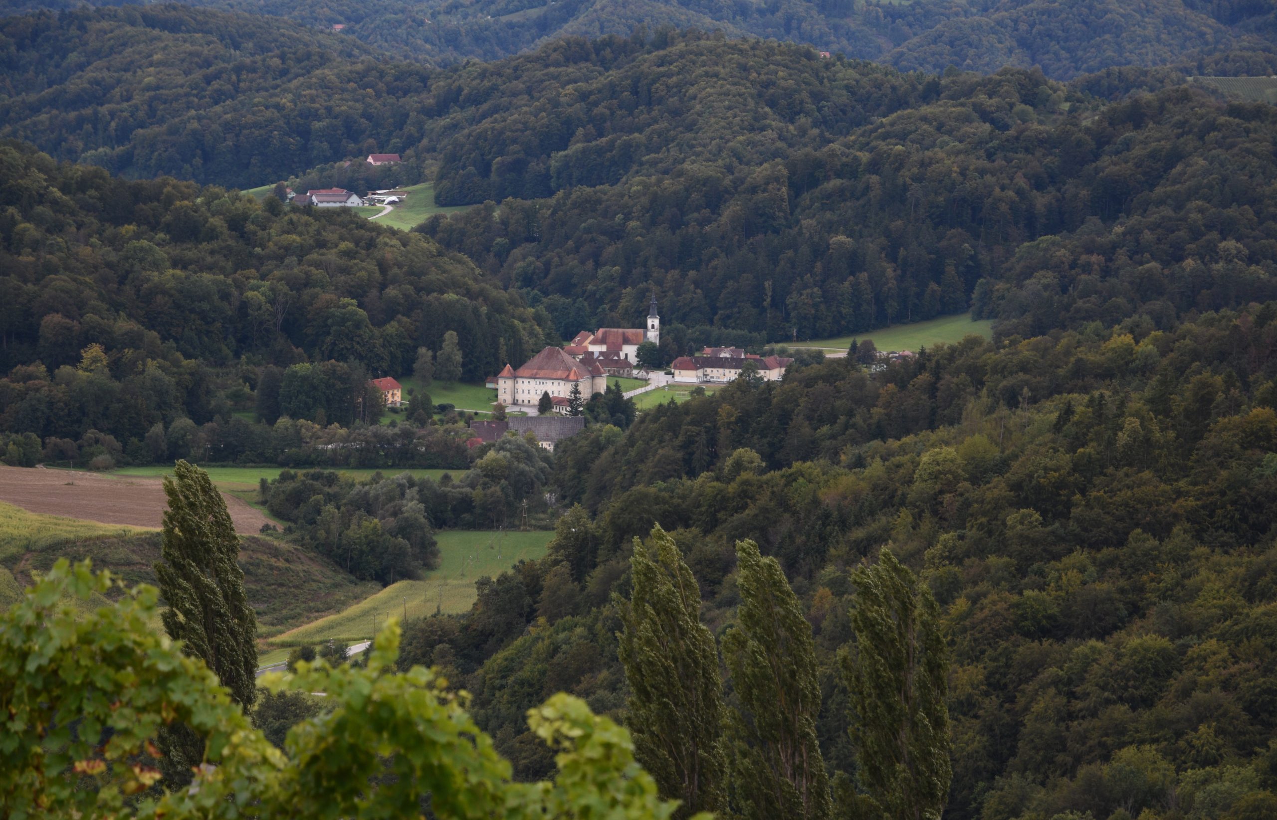 Svečina – slika 4