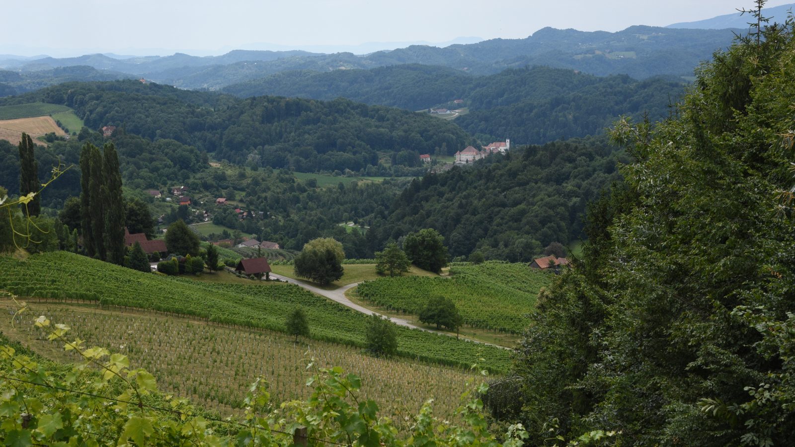 Svečina – 1