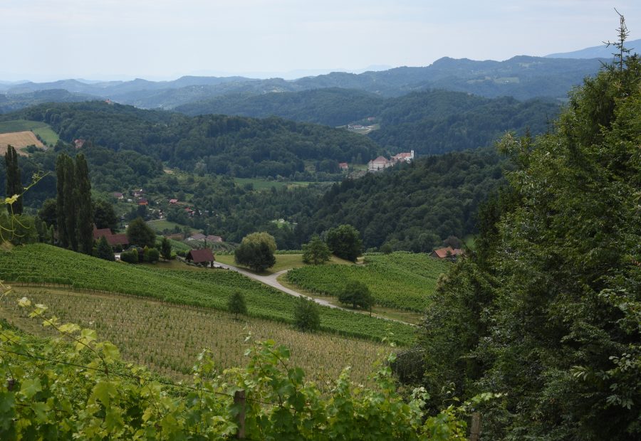 Svečina – 1