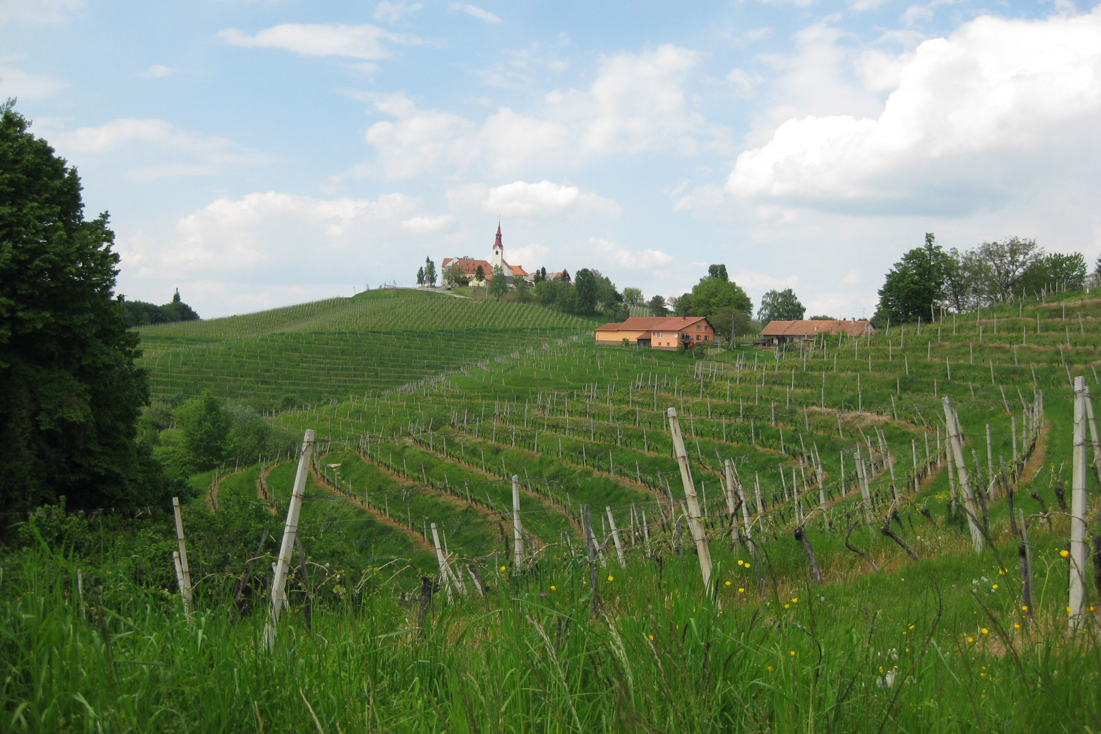 Svetinje pri Jeruzalemu – slika 1