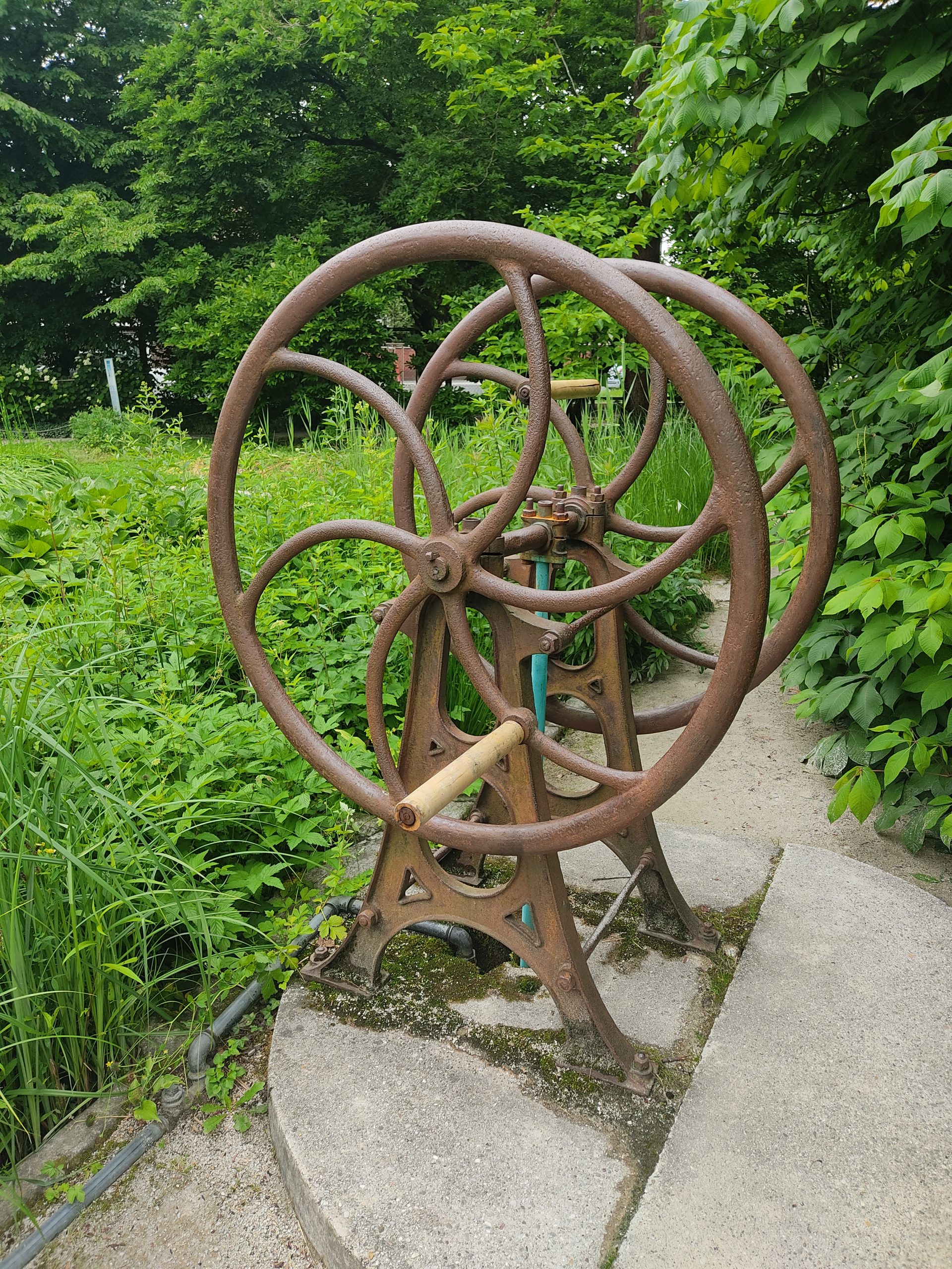 Botanični vrt Ljubljana – Ljubljana Botanical Garden 10
