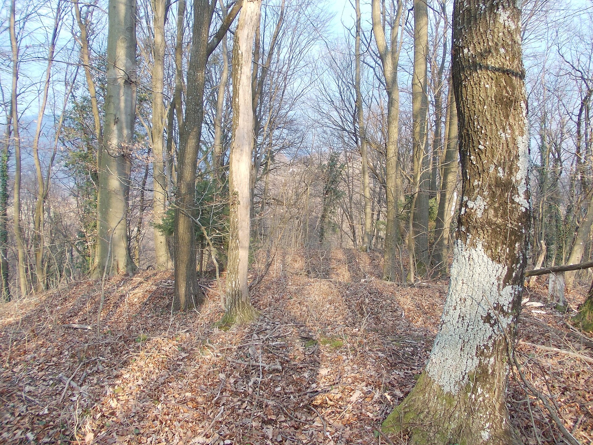 Grad Lemberg pri Šmarju - fotografija destinacije 3