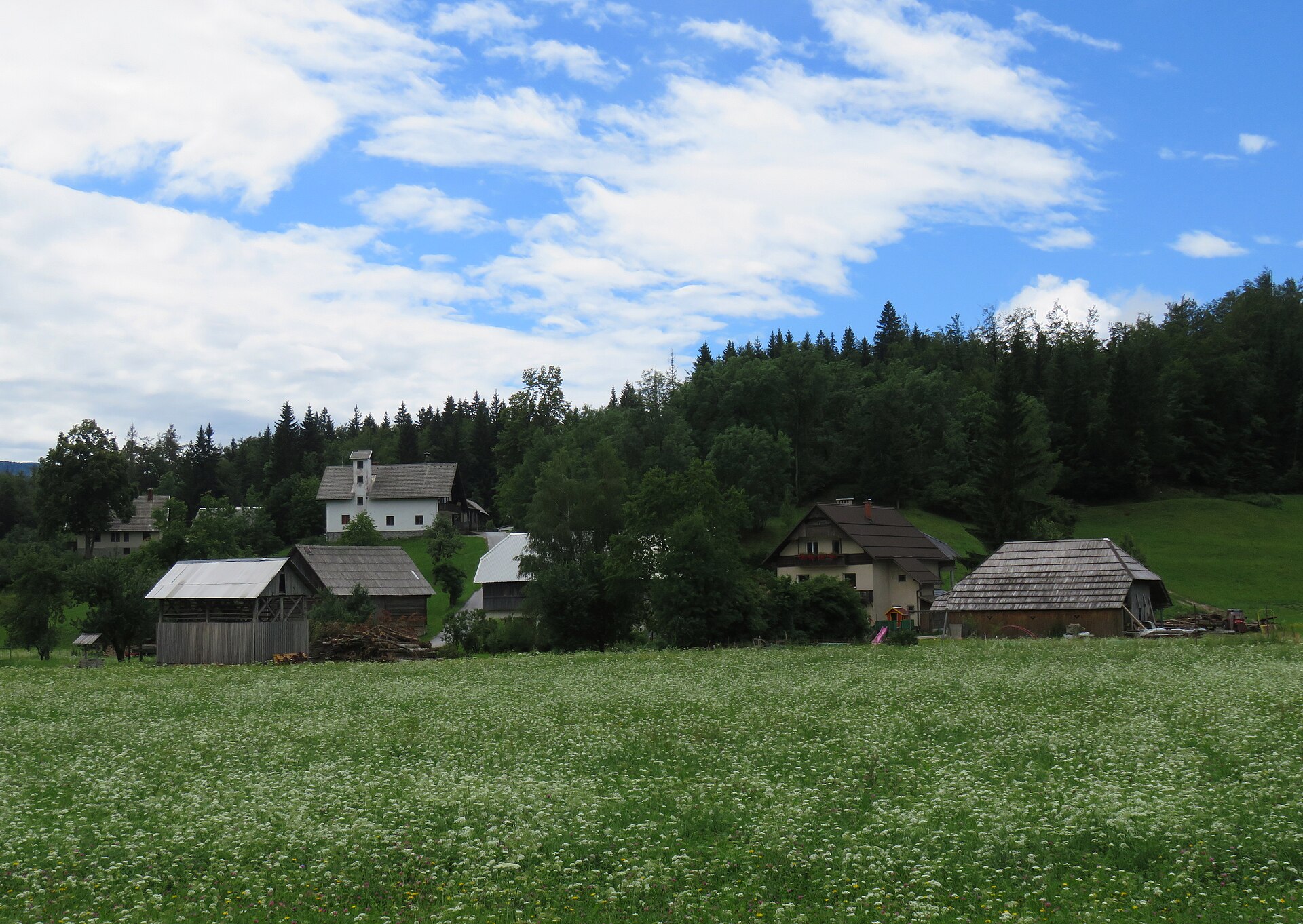 Koprivnik v Bohinju - Koprivnik v Bohinju, Municipality of Bohinj, Slovenia