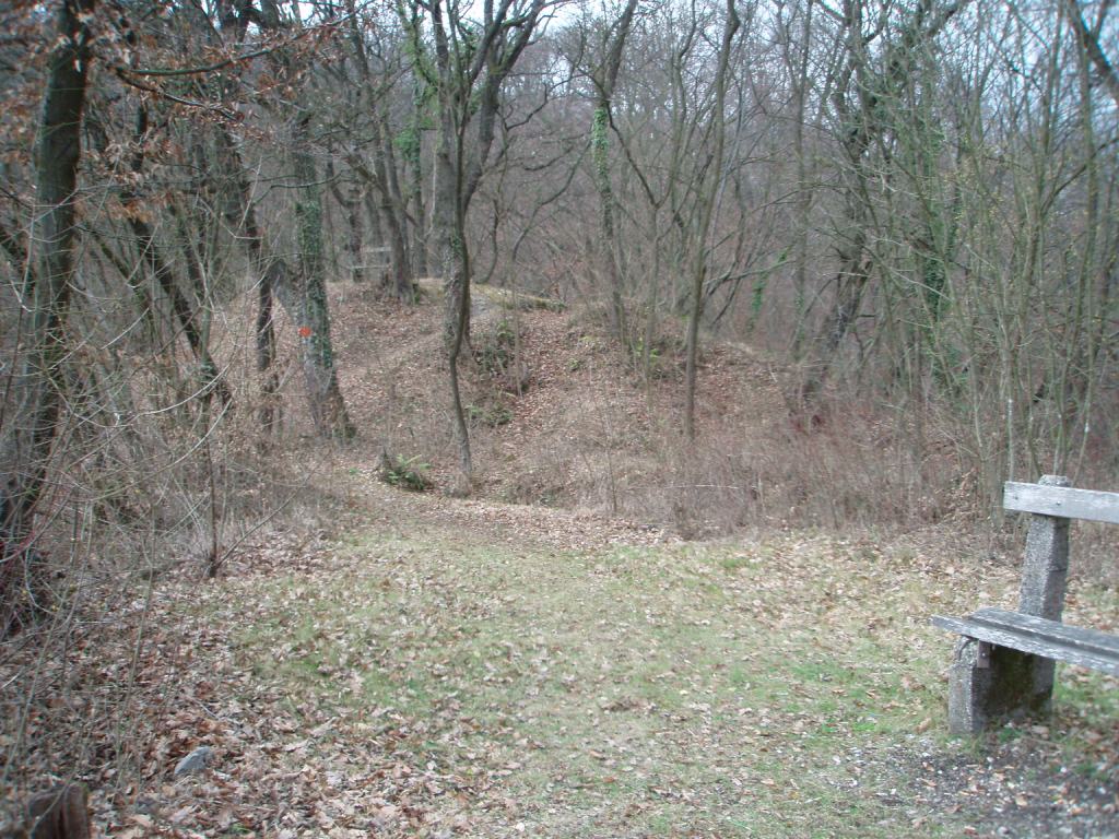 Grad Krško-12