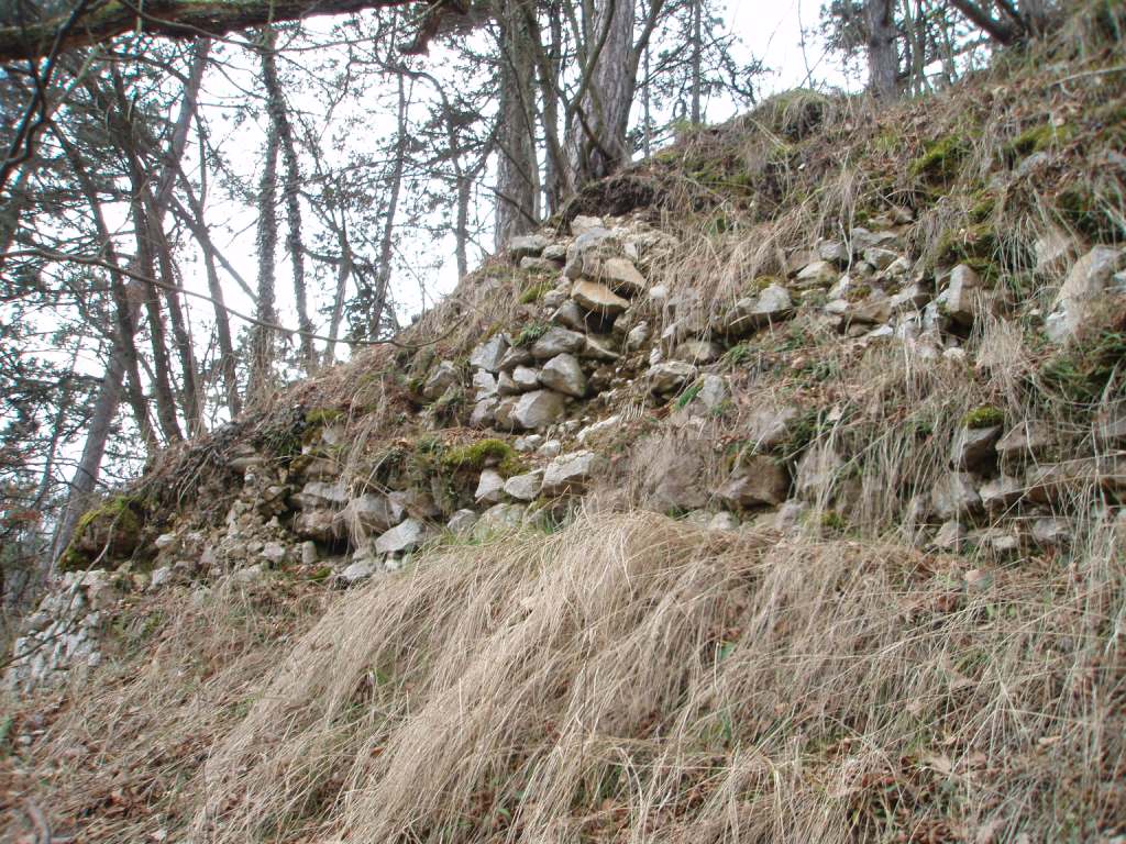 Grad Krško-6