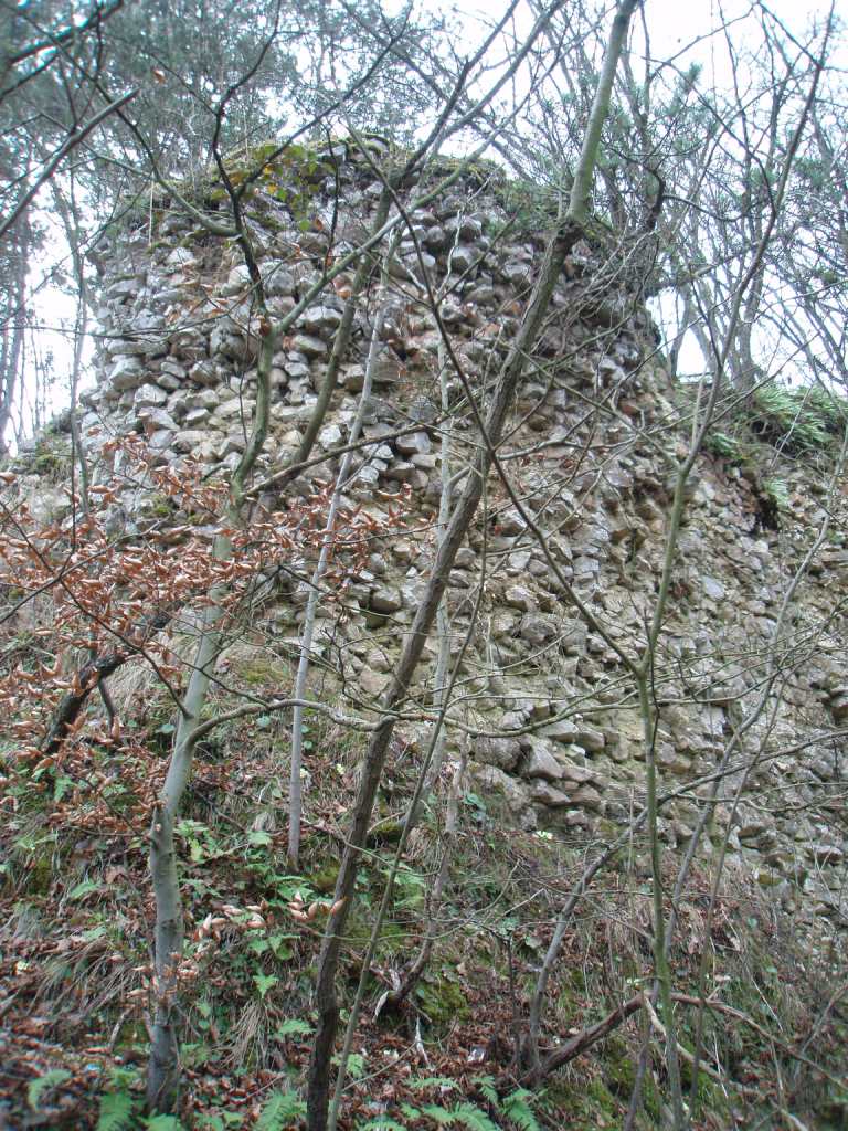 Grad Krško-7